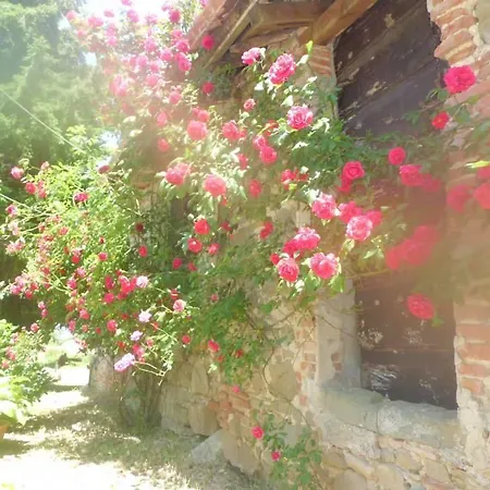 Bottega Di Montegiovi