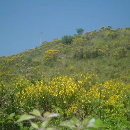 Kır Evi Bottega Di Montegiovi Scopeti
